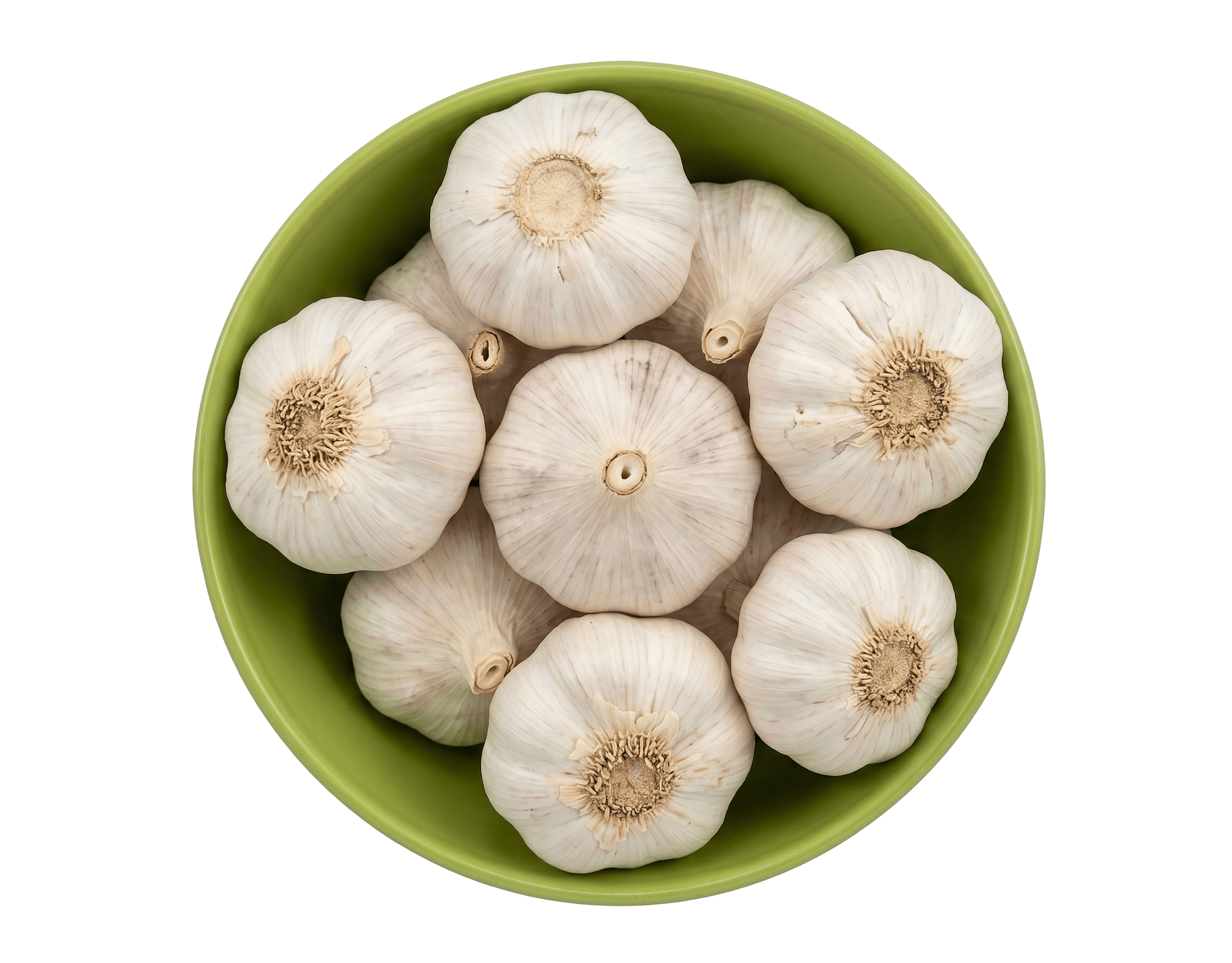 garlic